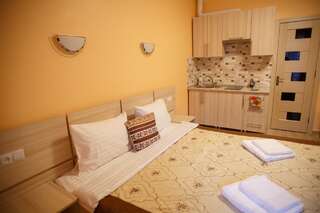 Апартаменты Золота Поляна Поляна Апартаменты с 2 спальнями-10